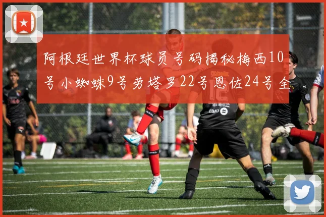 阿根廷世界杯球员号码揭秘梅西10号小蜘蛛9号劳塔罗22号恩佐24号全解析